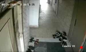 Caméra IP - IN