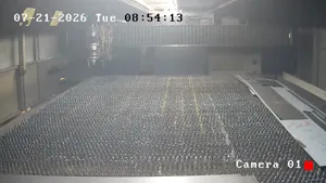 Caméra IP - IT