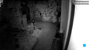 Caméra IP - IT