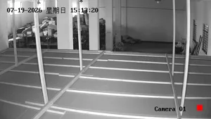 Caméra IP - CN