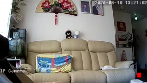 Caméra IP - HK