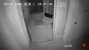 Caméra IP - EE