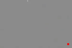 Caméra IP - IT