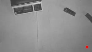 Caméra IP - BR