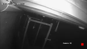 Caméra IP - US