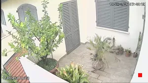 Caméra IP - IT