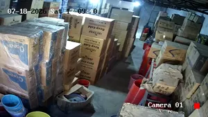 Caméra IP - PK