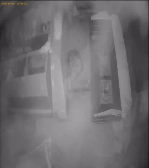 Caméra IP - IE