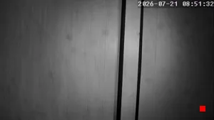 Caméra IP - IR