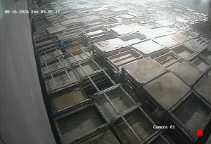 Caméra IP - US
