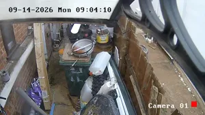 Caméra IP - IN