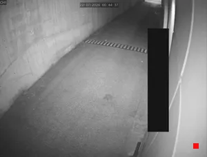 Caméra IP - IT