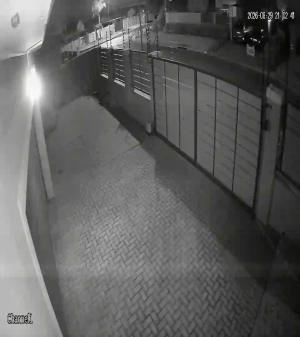 Caméra IP - ZA