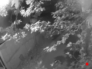 Caméra IP - IR