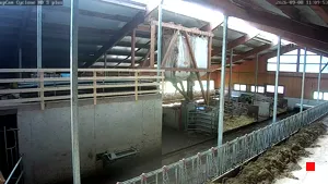 Caméra IP - AT