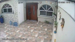 Caméra IP - MX