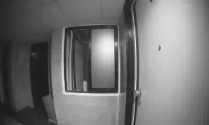 Caméra IP - US