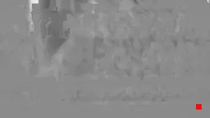 Caméra IP - ES