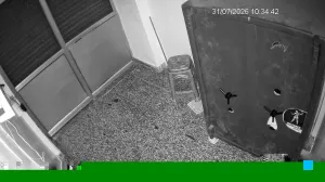 Caméra IP - IN