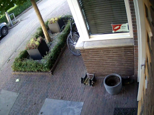 Caméra IP - NL