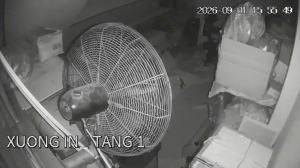 Caméra IP - VN