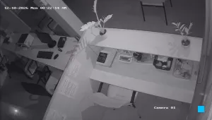 Caméra IP - IN