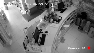 Caméra IP - GR
