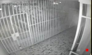 Caméra IP - IR