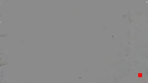 Caméra IP - PL