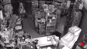 Caméra IP - IR