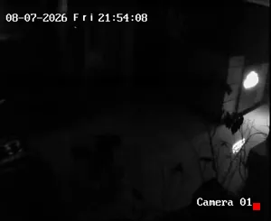 Caméra IP - IR
