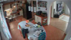 Caméra IP - PL