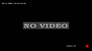 Caméra IP - US
