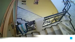 Caméra IP - DZ