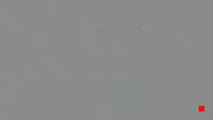 Caméra IP - ES