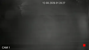 Caméra IP - RO