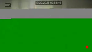 Caméra IP - US