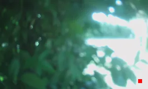 Caméra IP - IT