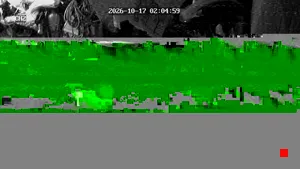 Caméra IP - IR