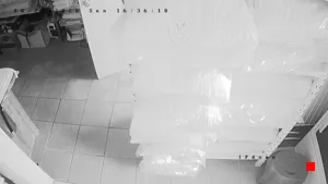 Caméra IP - CL