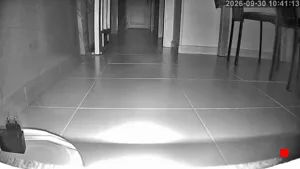 Caméra IP - ES