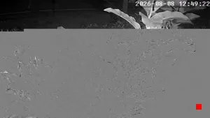 Caméra IP - CL