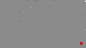 Caméra IP - ES