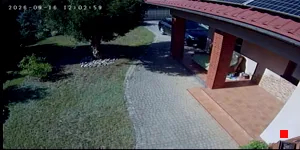 Caméra IP - PL