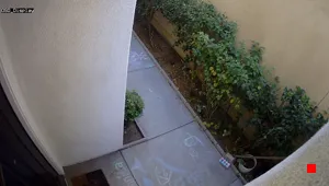 Caméra IP - US
