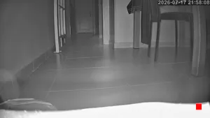 Caméra IP - ES