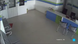 Caméra IP - IN