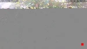 Caméra IP - DE