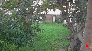 Caméra IP - IT