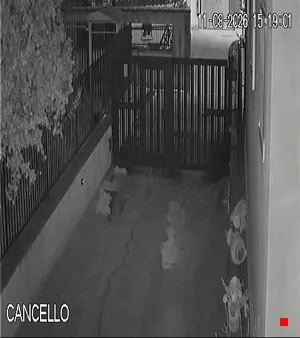 Caméra IP - IT